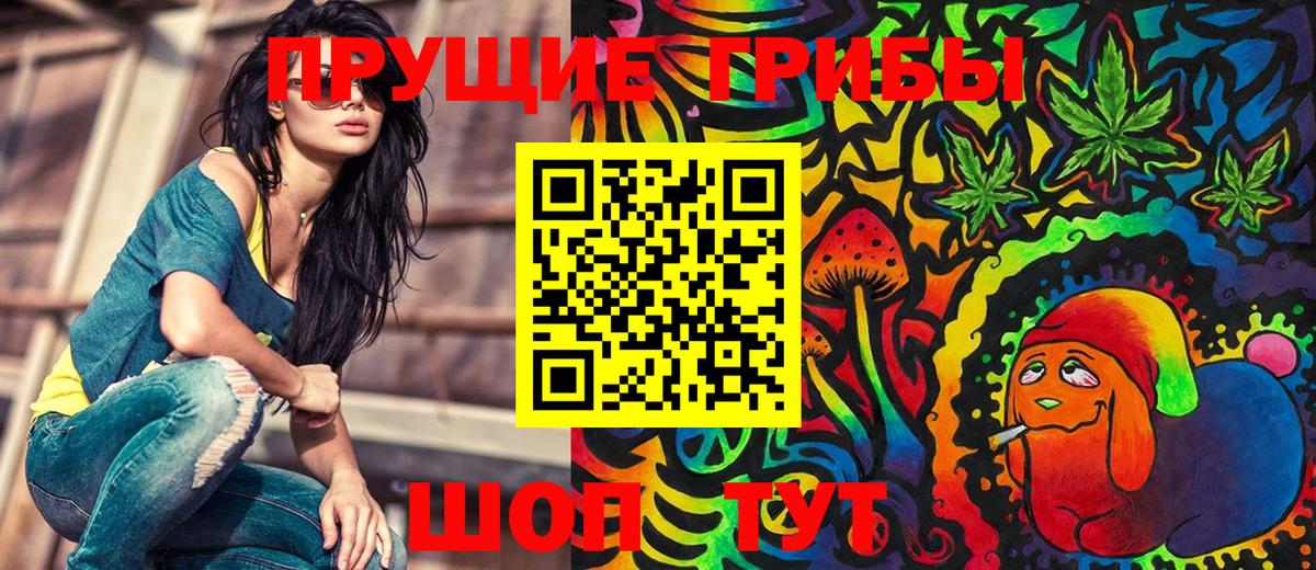 как найти   Псилоцибиновые грибы Psilocybe  Вход с VPN  Родники 