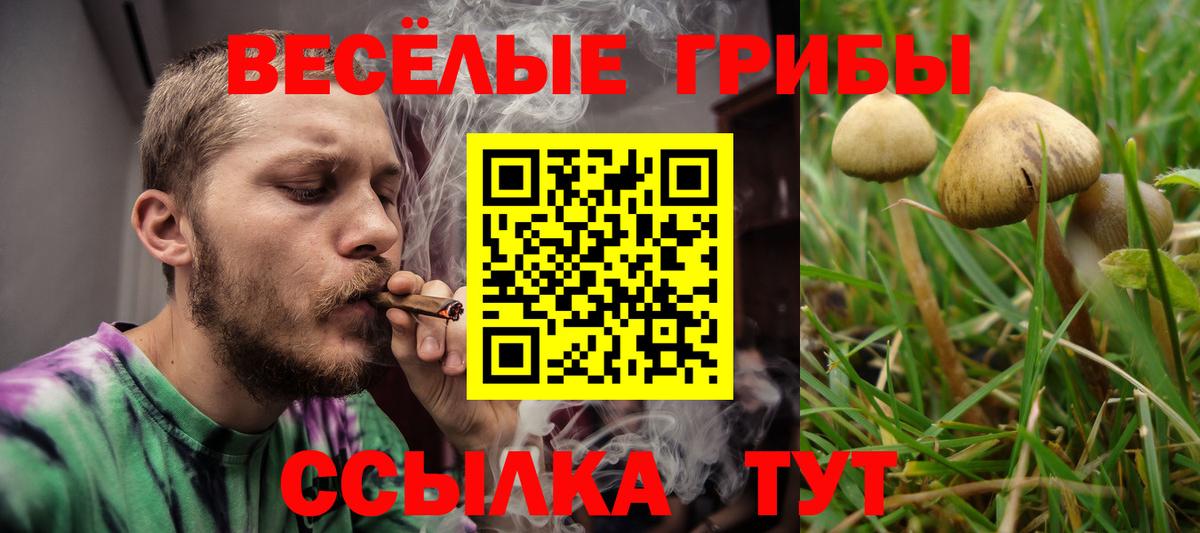 Галлюциногенные грибы ЛСД Родники